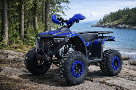 NYHET! Forest 125 - 2026 - På lager